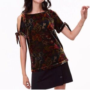 ANN TAYLOR LOFT Y2k velvet burned floral top